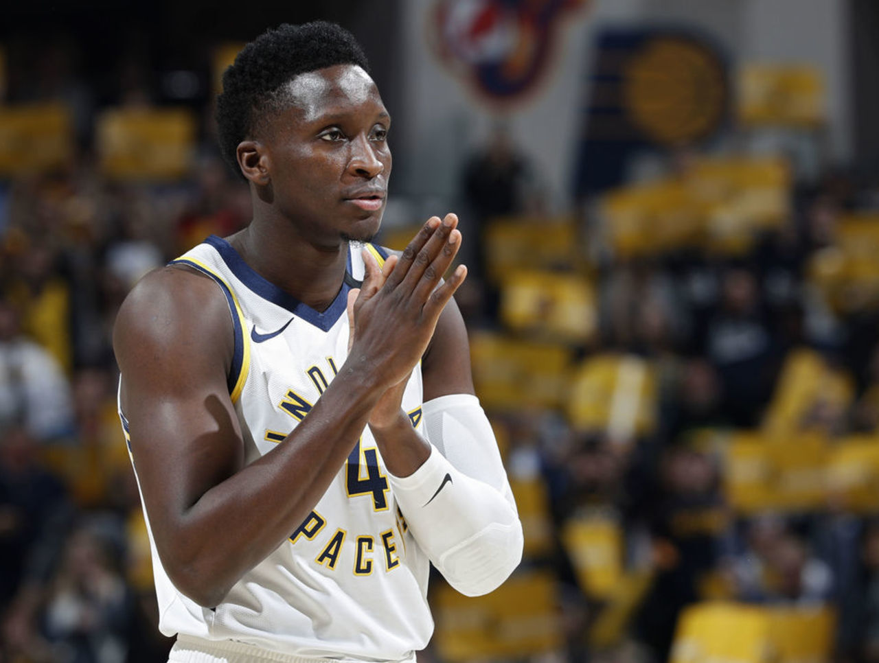 体验到他们 体验到他们