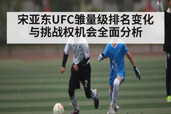 宋亚东UFC雏量级排名变化与挑战权机会全面分析